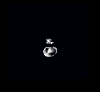 Ninvis.png