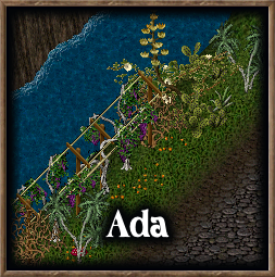 W6.png