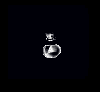 Ginvis.png