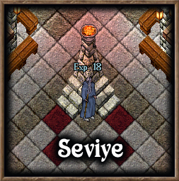 W5.png