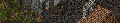 Gathergif.gif