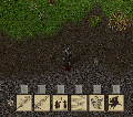 Spear6.gif