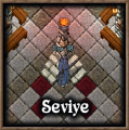 W5.png
